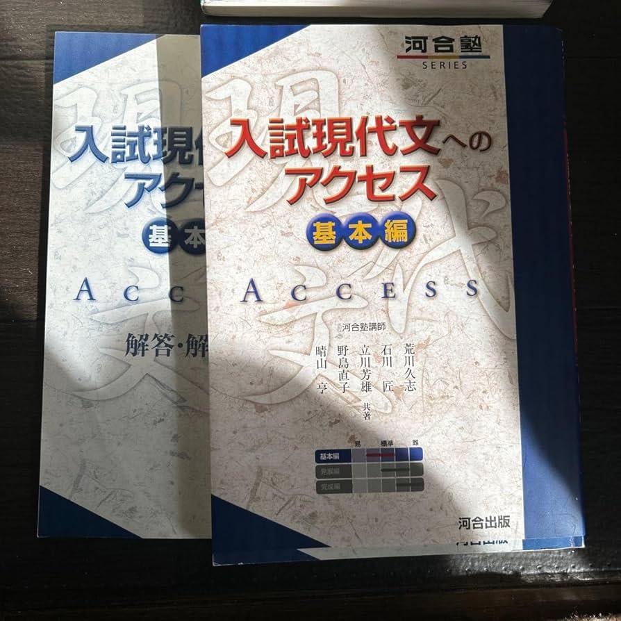 入試現代文へのアクセス基本編 入試現代文へのアクセス (基本編) (河合塾シリーズ) | 荒川 久志